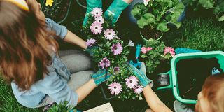 Personen pflanzen Blumen im Garten