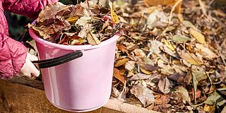 Gartenabfälle entsorgen: Eimer mit Laub