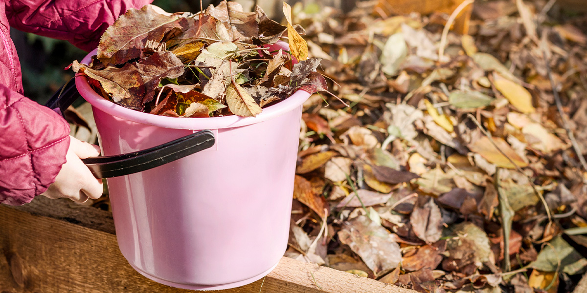 Gartenabfälle entsorgen: Eimer mit Laub