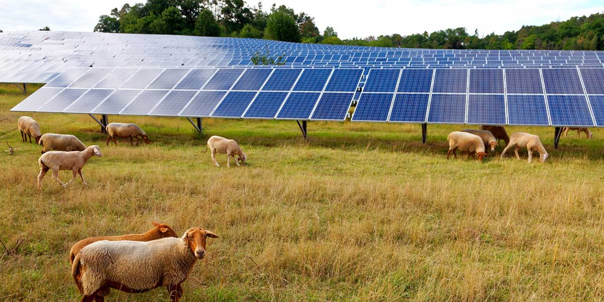 Ackerland mit Photovoltaikanlage