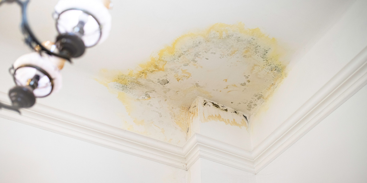Wasserschaden: Wer zahlt? Wasserschaden an der Decke